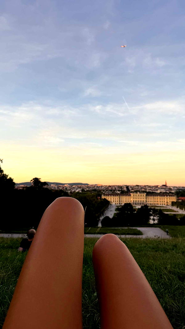 samantrasunny image ~ Altpins