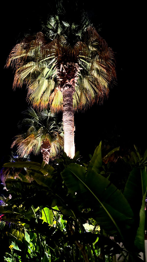 samantrasunny image ~ Altpins