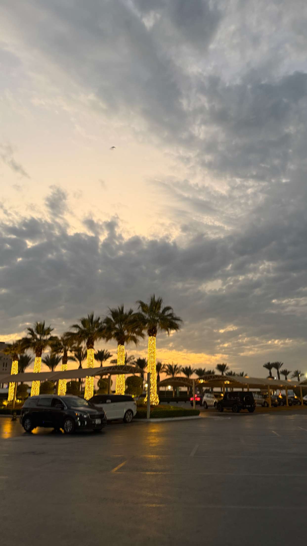 samantrasunny snapchat image archive image