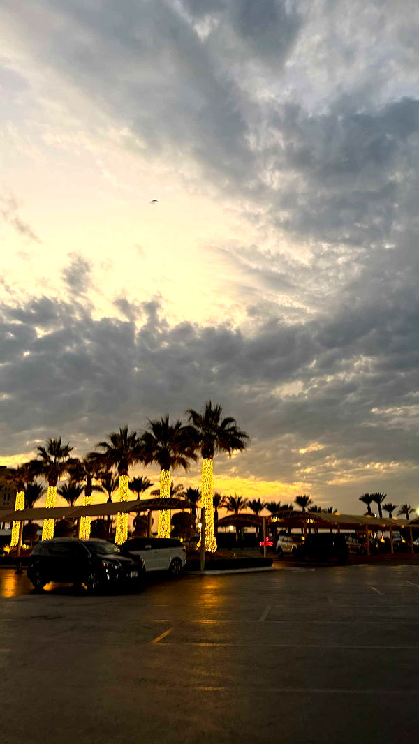 samantrasunny image ~ Altpins