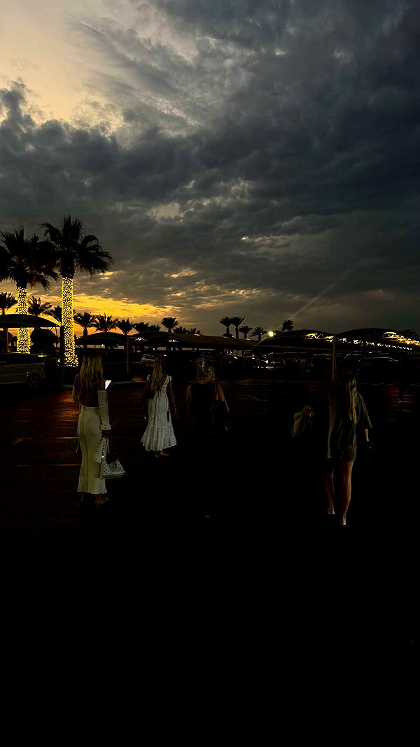 samantrasunny image ~ Altpins