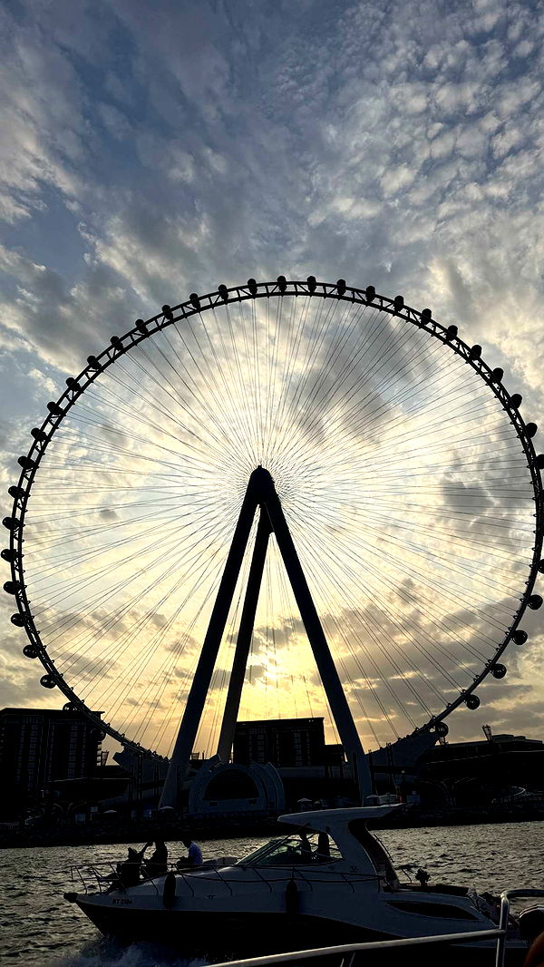 samantrasunny image ~ Altpins