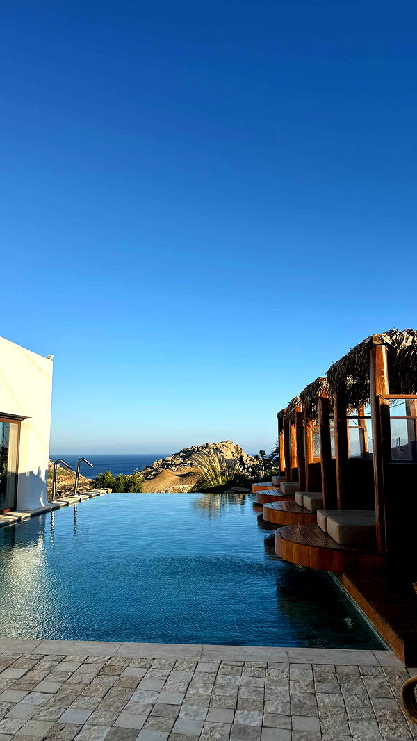 samantrasunny image ~ Altpins