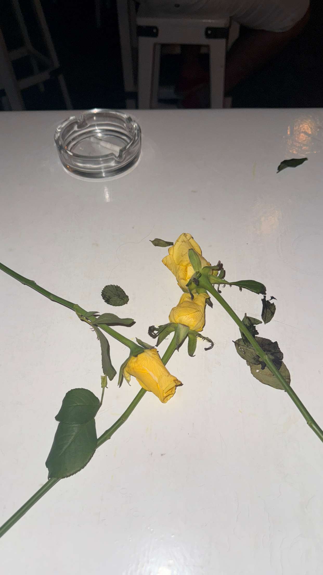 samantrasunny snapchat image archive image