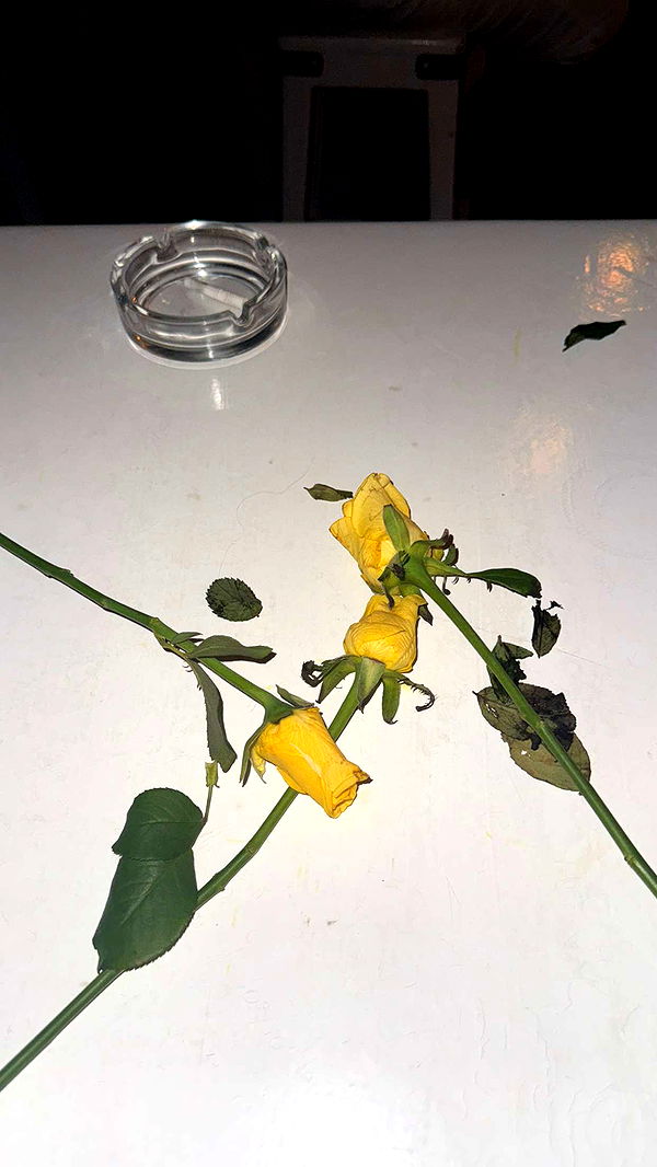 samantrasunny image ~ Altpins