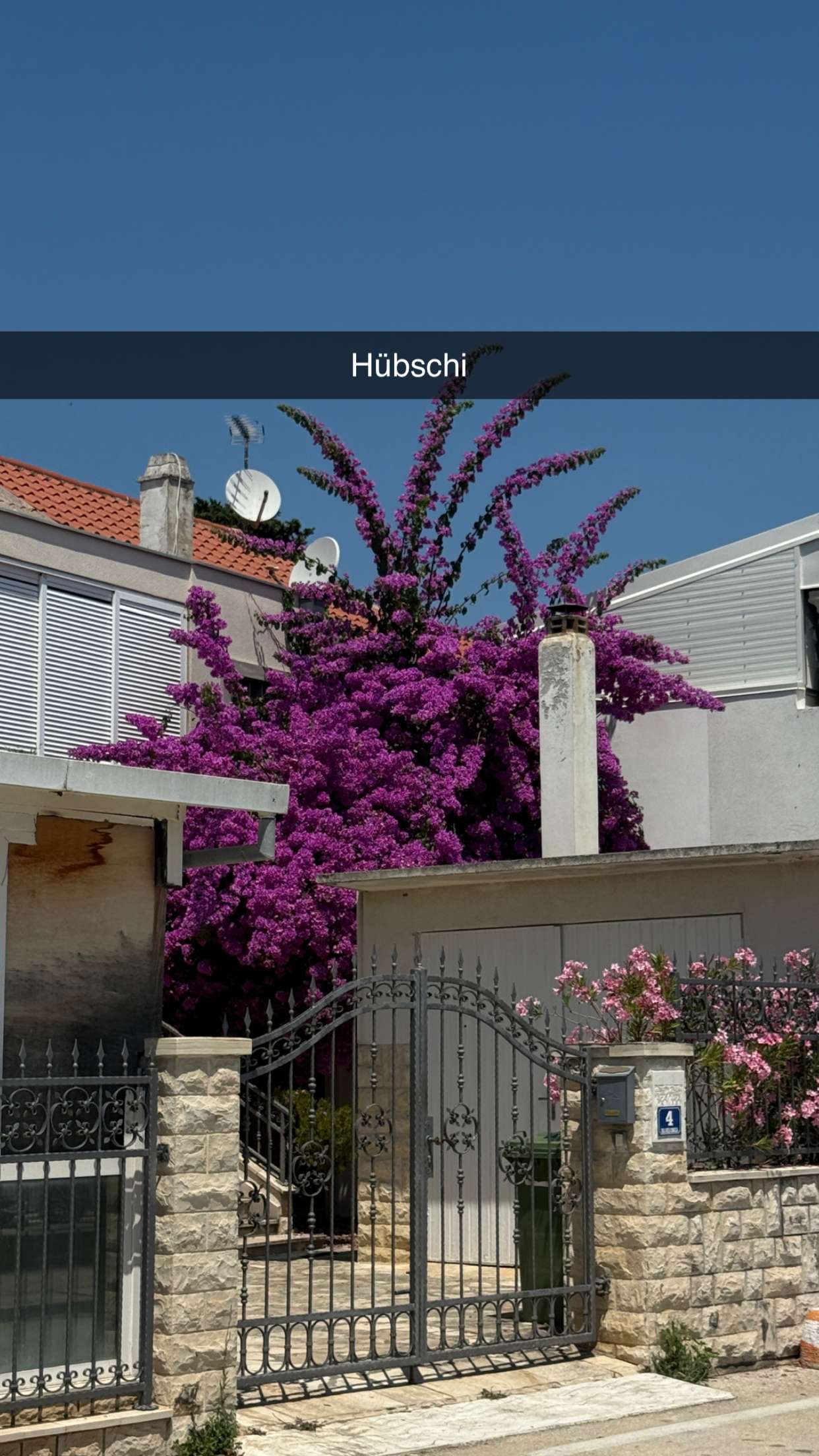 samantrasunny snapchat image archive image