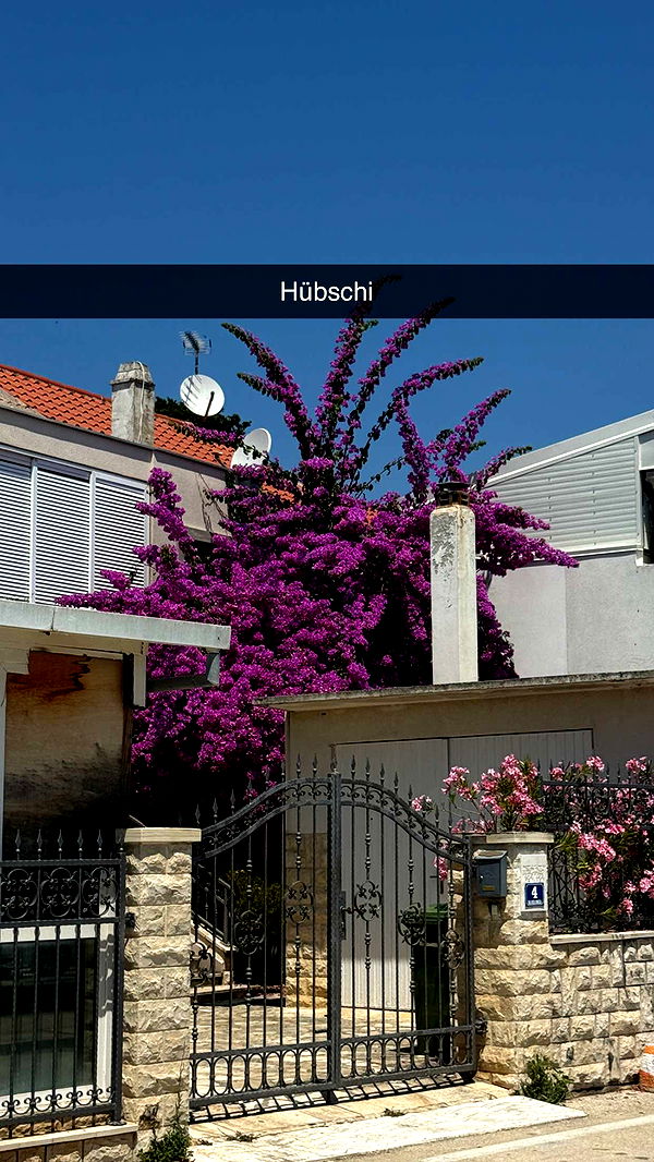 samantrasunny image ~ Altpins