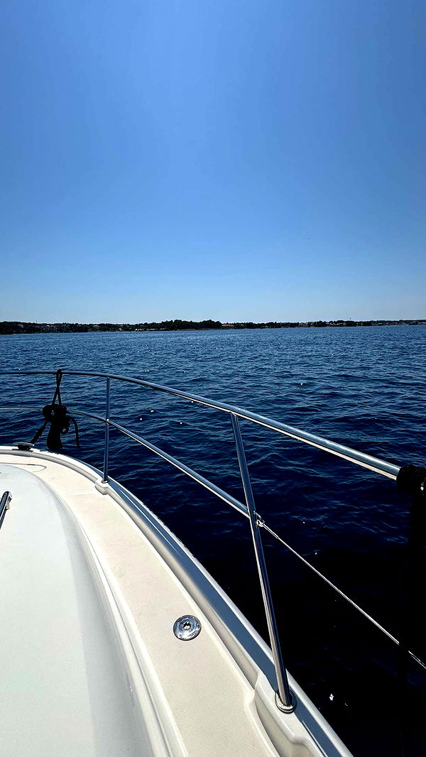 samantrasunny image ~ Altpins