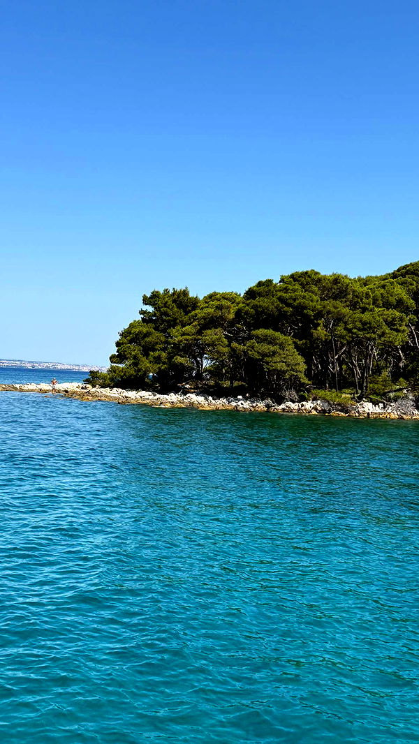 samantrasunny image ~ Altpins