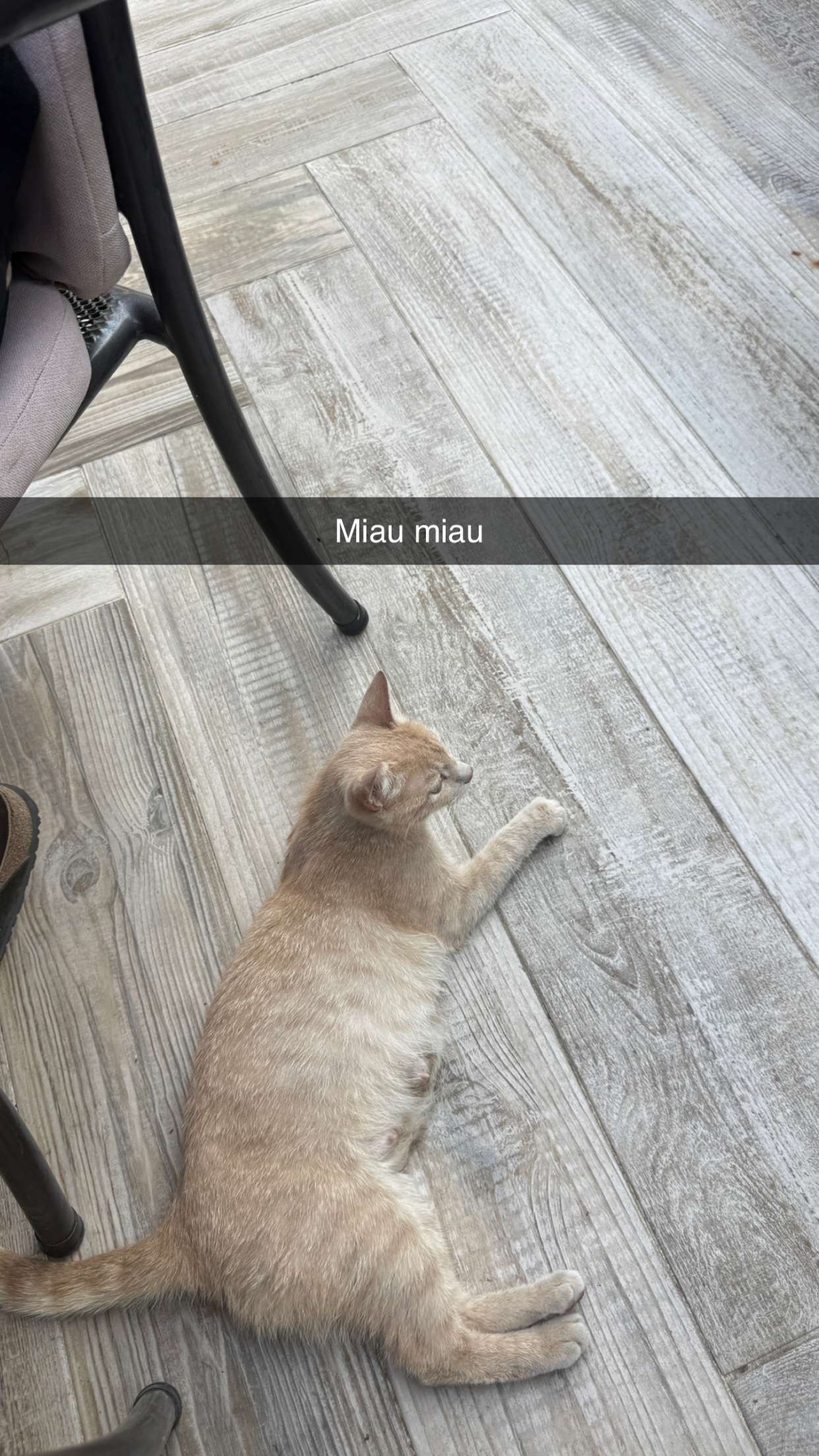 samantrasunny snapchat image archive image