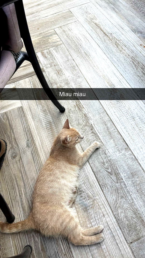 samantrasunny image ~ Altpins