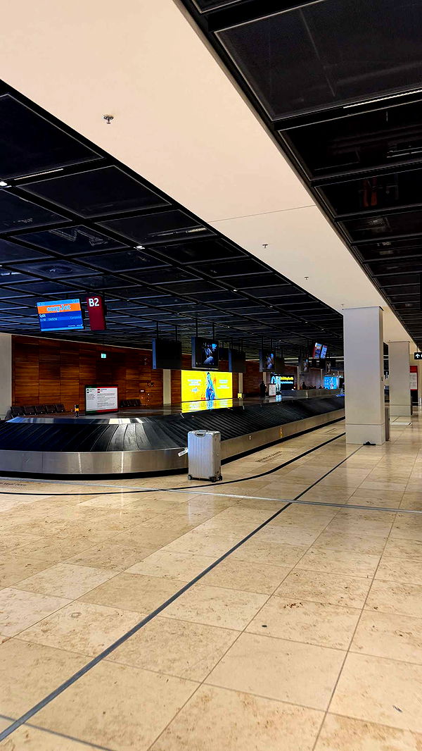 samantrasunny image ~ Altpins