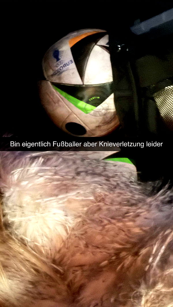 samantrasunny image ~ Altpins