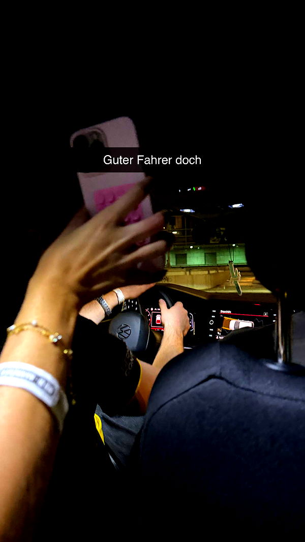 samantrasunny image ~ Altpins