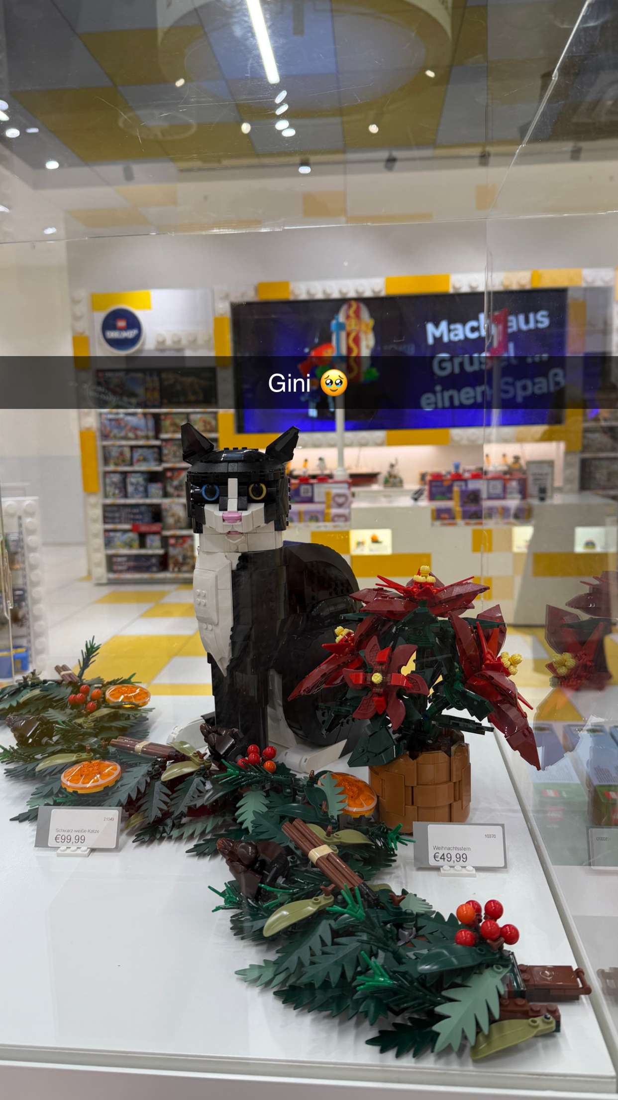 samantrasunny snapchat image archive image