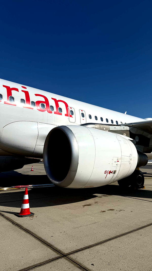 samantrasunny image ~ Altpins