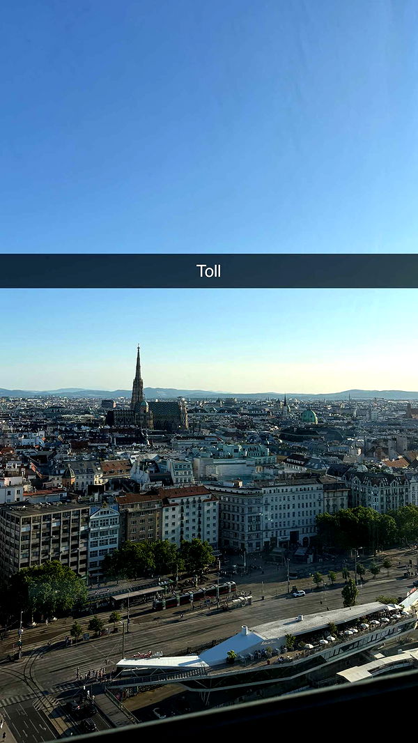 samantrasunny image ~ Altpins