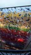 samantrasunny Altpins Profile Picture