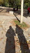 samantrasunny Altpins Profile Picture