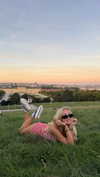 samantrasunny Altpins Profile Picture