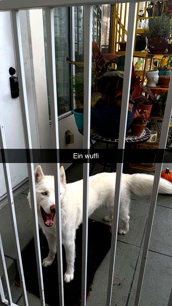 samantrasunny snapchat image archive image