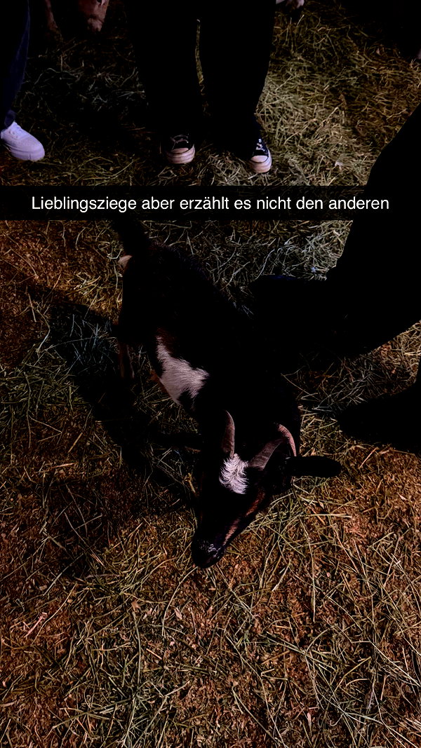 samantrasunny snapchat image archive image
