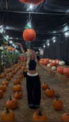 samantrasunny Altpins Profile Picture