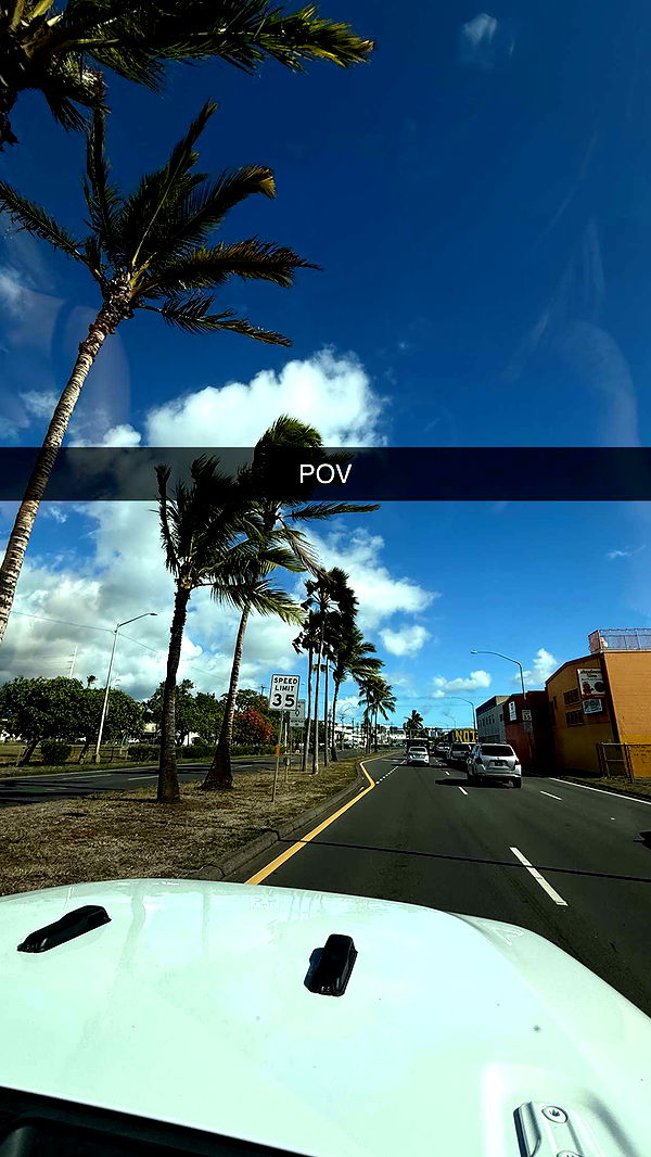 samantrasunny image ~ Altpins