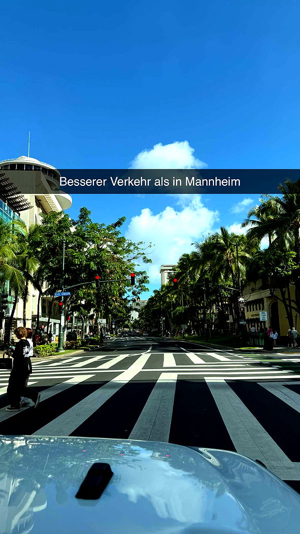 samantrasunny image ~ Altpins