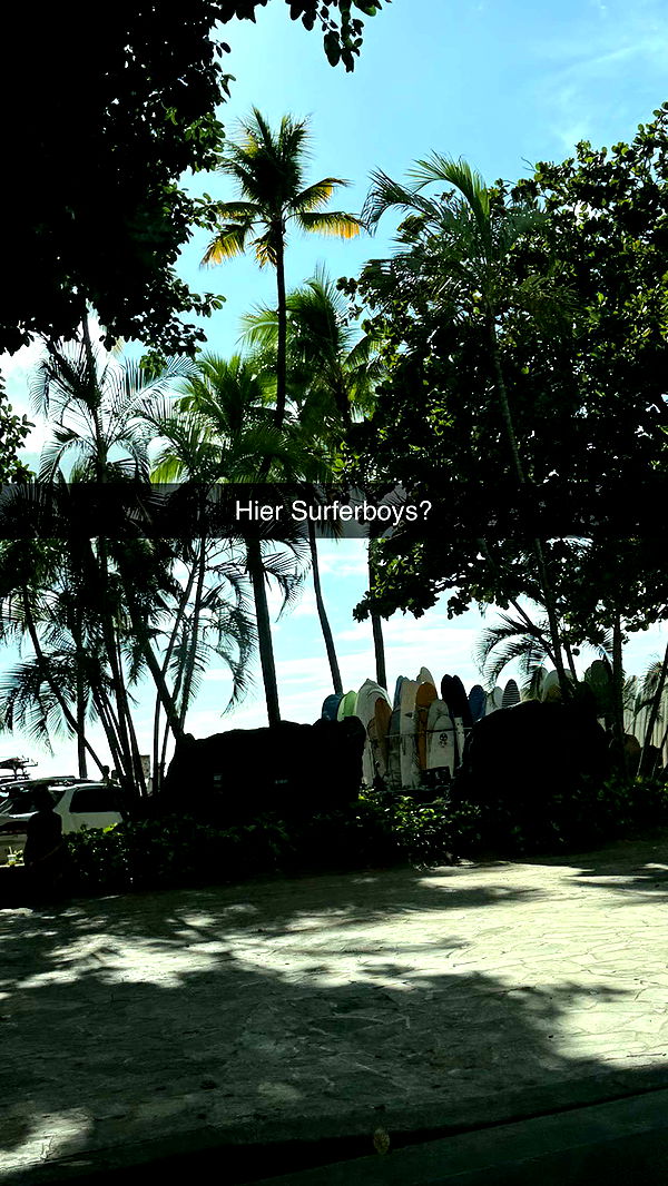 samantrasunny image ~ Altpins