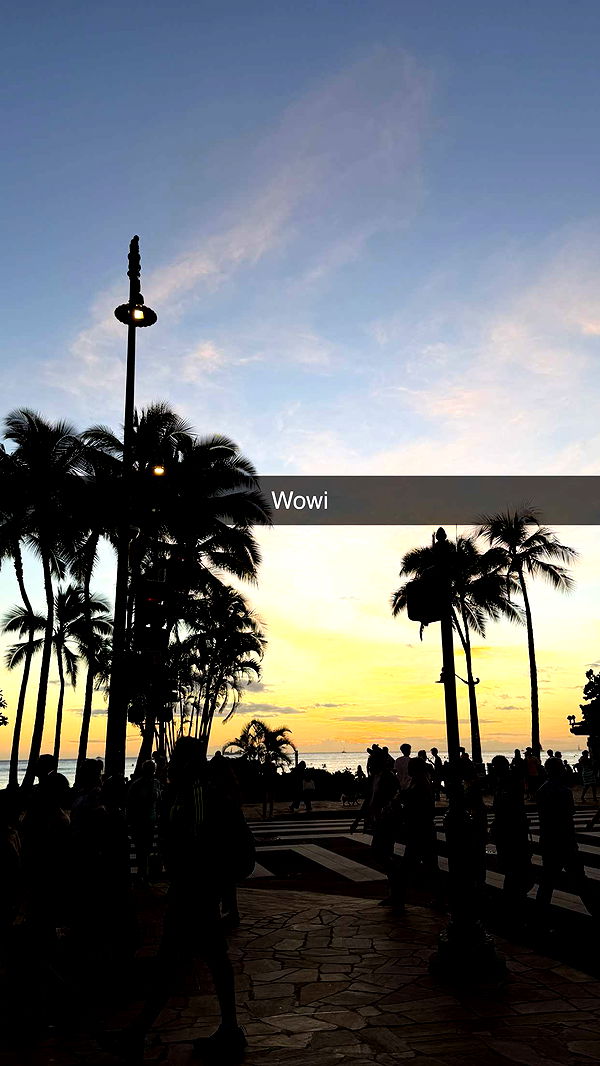 samantrasunny image ~ Altpins