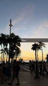 samantrasunny Altpins Profile Picture