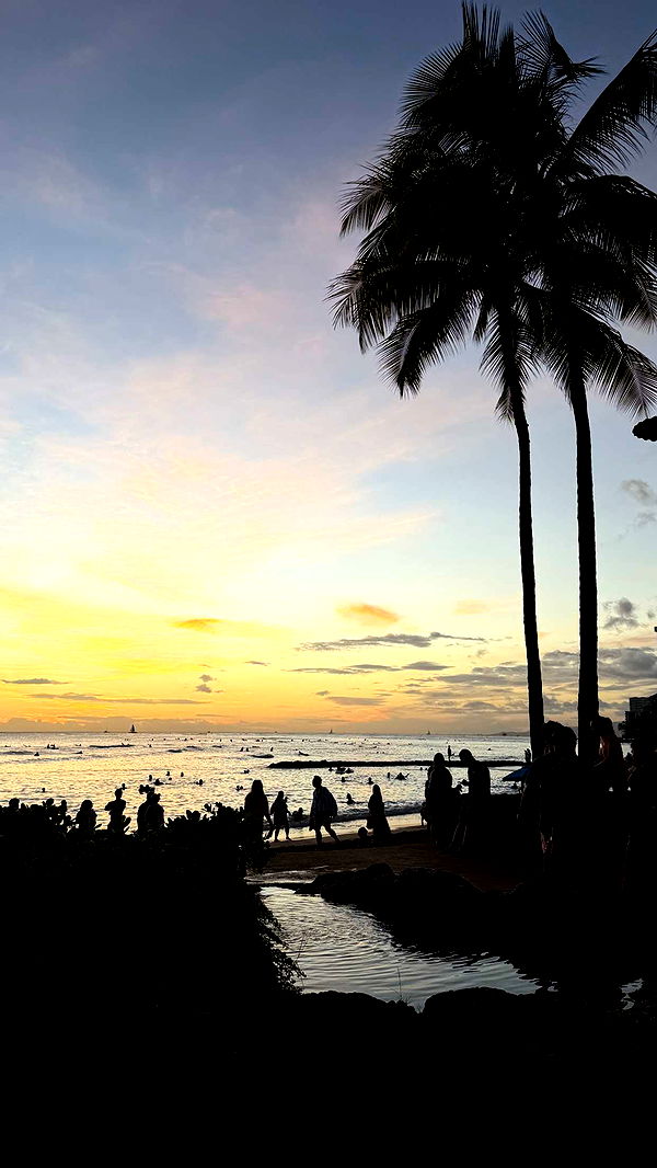 samantrasunny image ~ Altpins