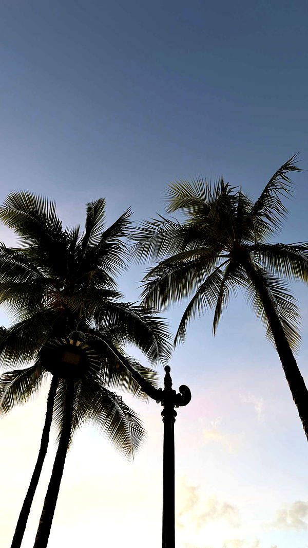 samantrasunny image ~ Altpins