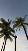 samantrasunny Altpins Profile Picture