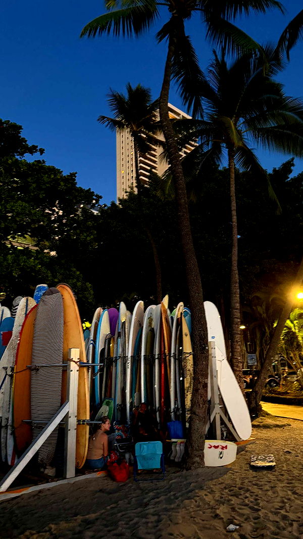 samantrasunny image ~ Altpins