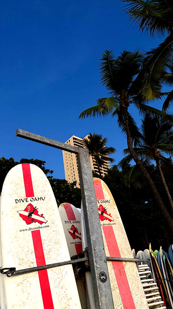 samantrasunny image ~ Altpins