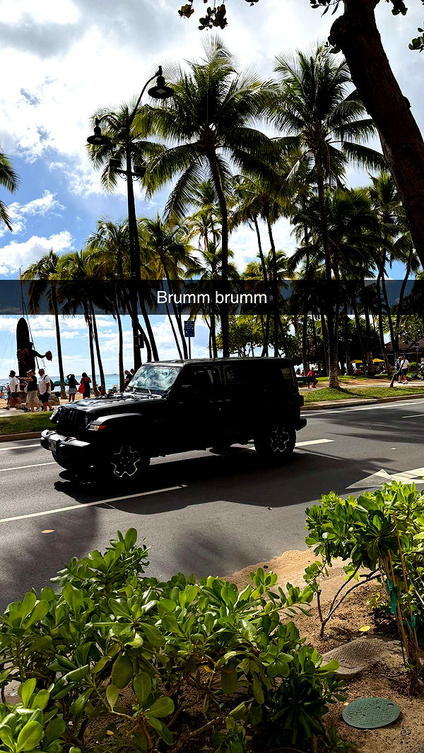 samantrasunny image ~ Altpins