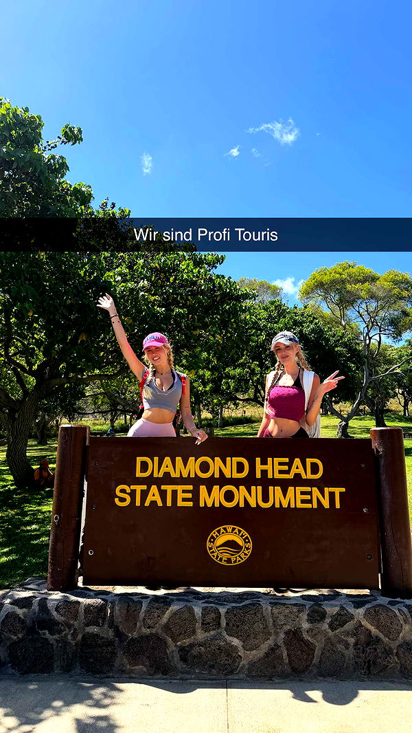 samantrasunny image ~ Altpins