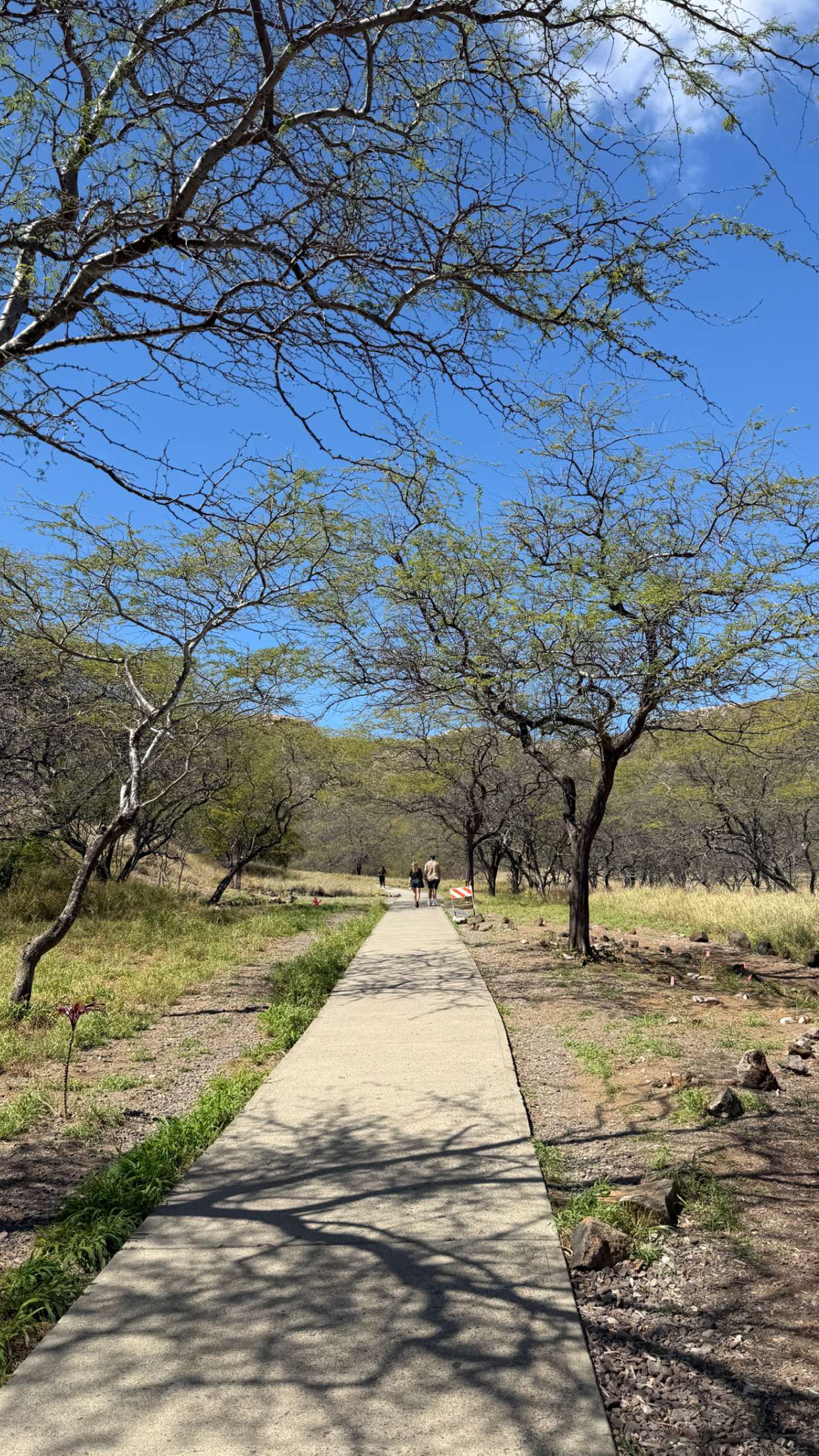 samantrasunny snapchat image archive image