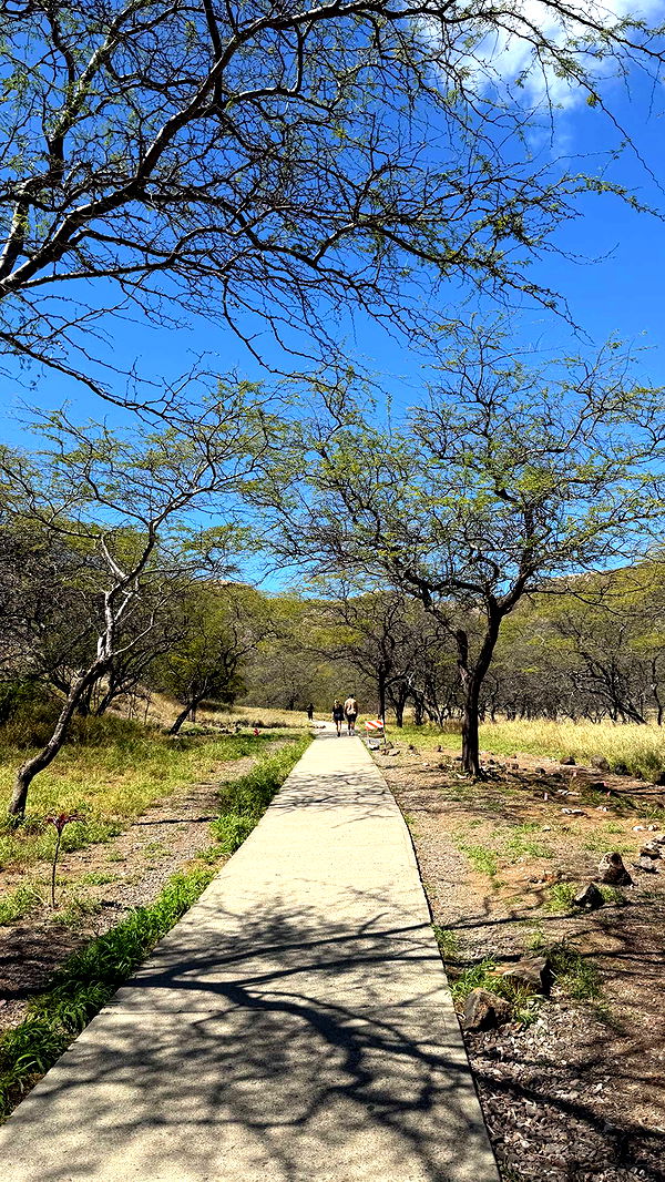 samantrasunny image ~ Altpins