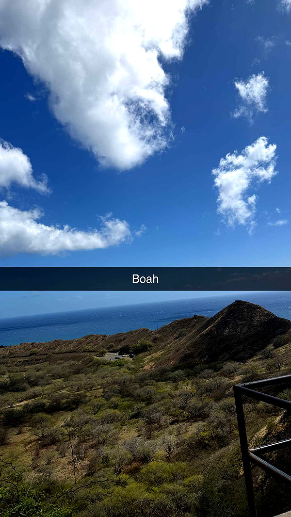 samantrasunny image ~ Altpins