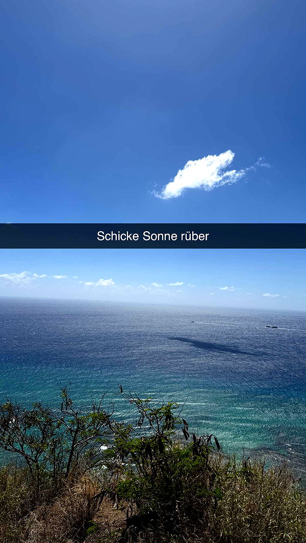 samantrasunny image ~ Altpins