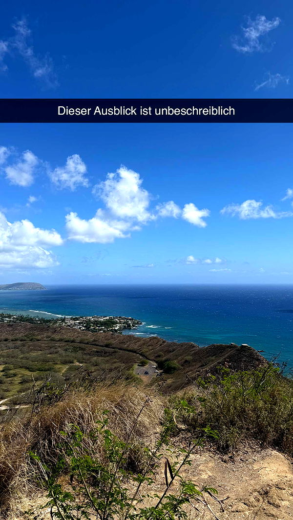 samantrasunny image ~ Altpins