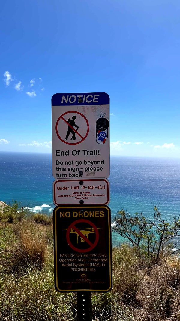 samantrasunny image ~ Altpins