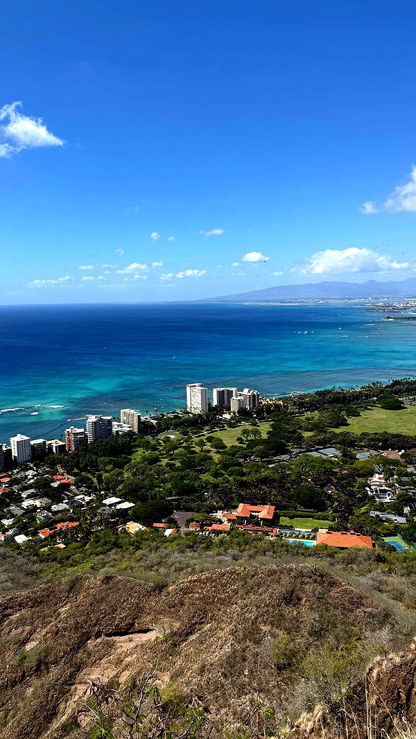 samantrasunny image ~ Altpins