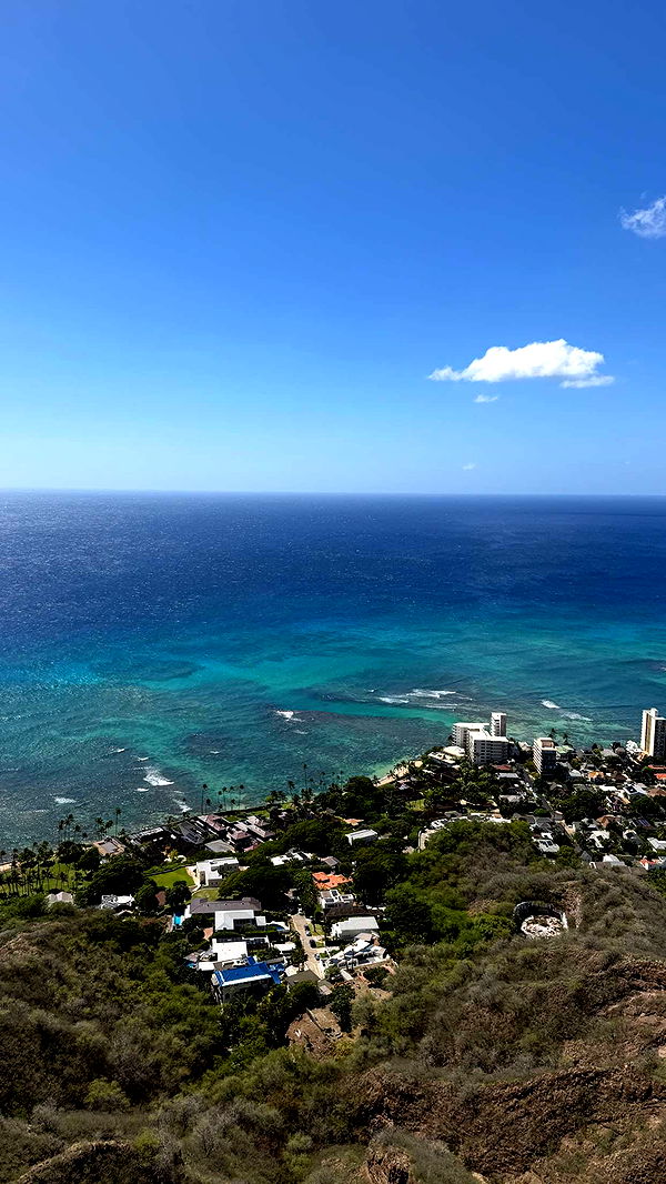 samantrasunny image ~ Altpins