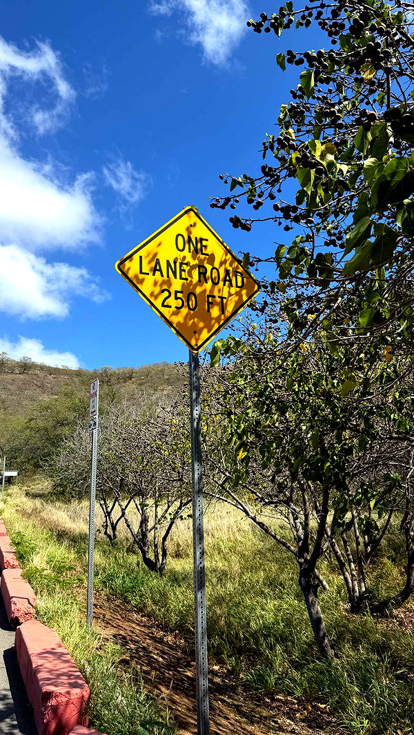 samantrasunny image ~ Altpins