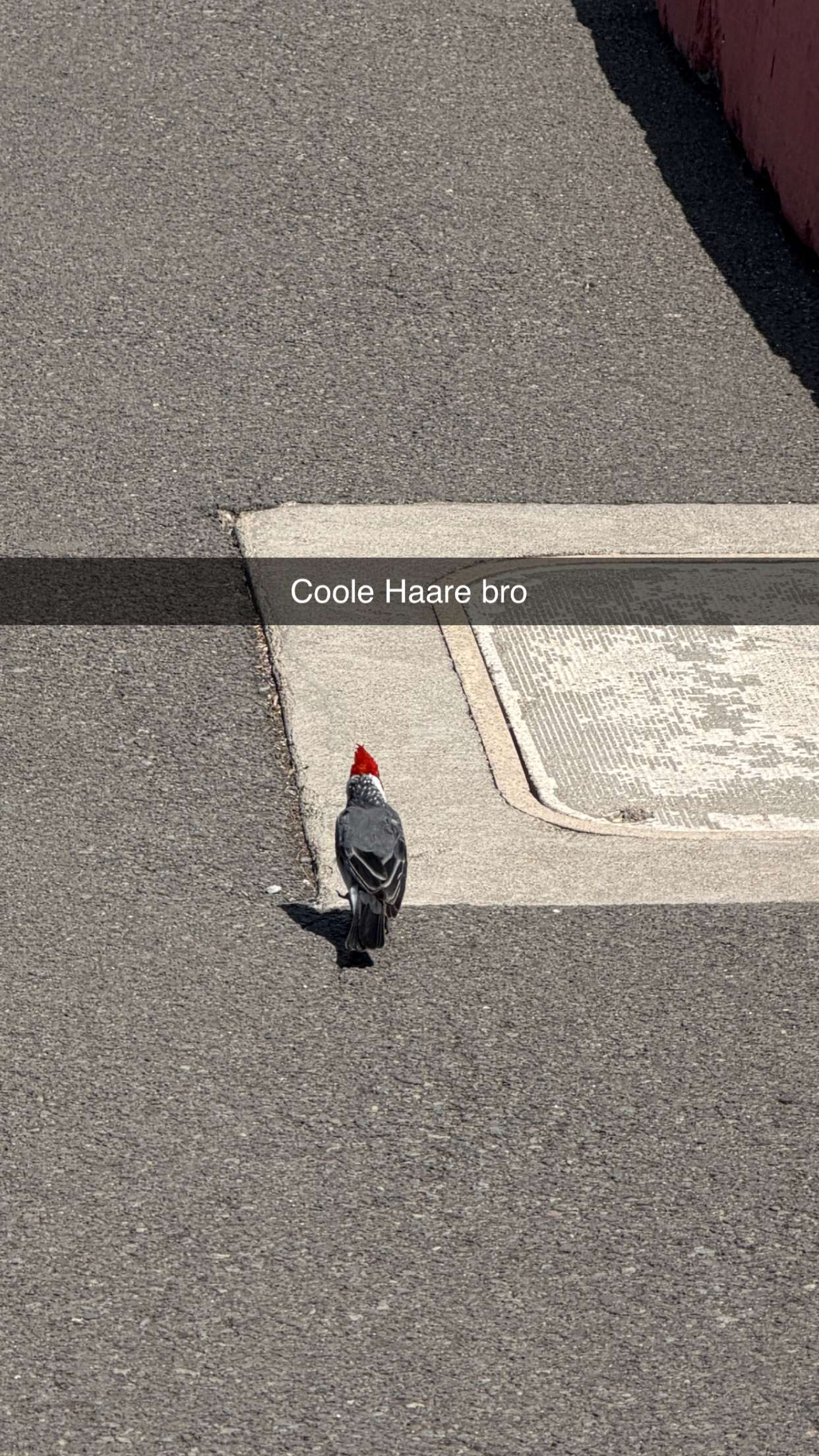 samantrasunny snapchat image archive image