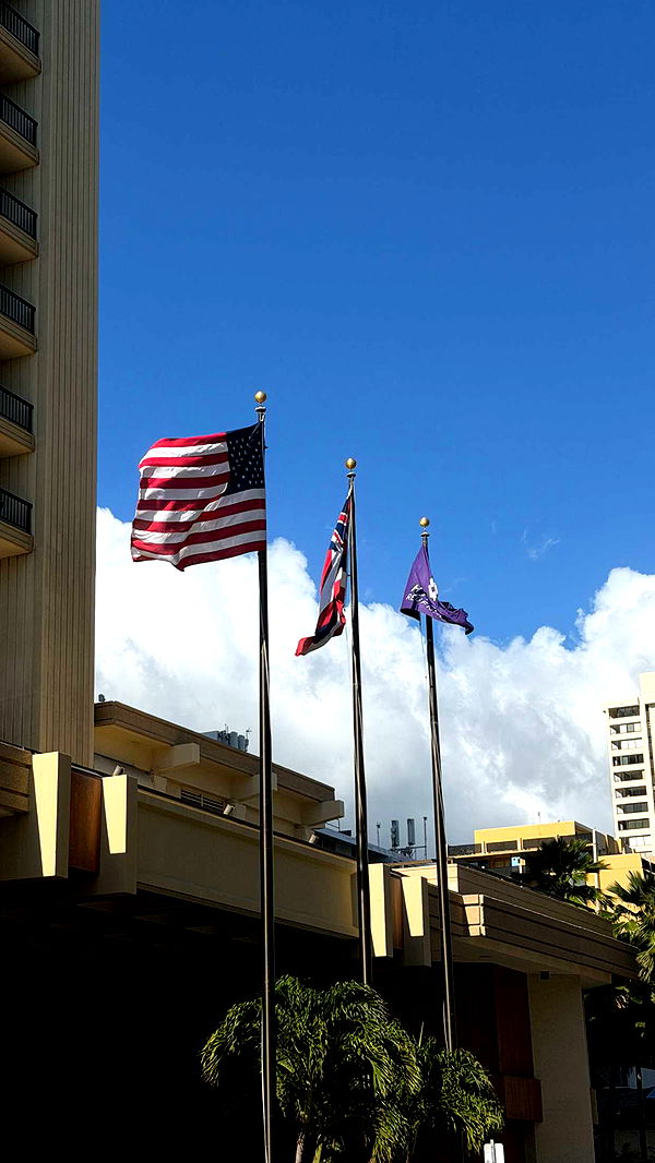 samantrasunny image ~ Altpins